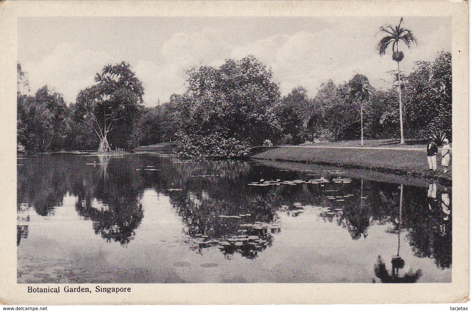 POSTAL DE SINGAPORE DE BOTANICAL GARDEN (SINGAPUR) - Singapore