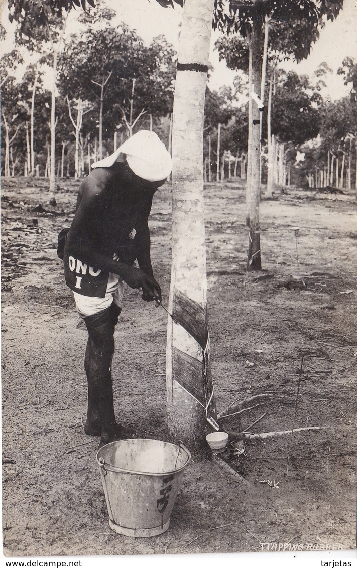 POSTAL DE SINGAPORE DE TAPING RUBBER (SINGAPUR) EXTRACCIÓN DEL CAUCHO - Singapur