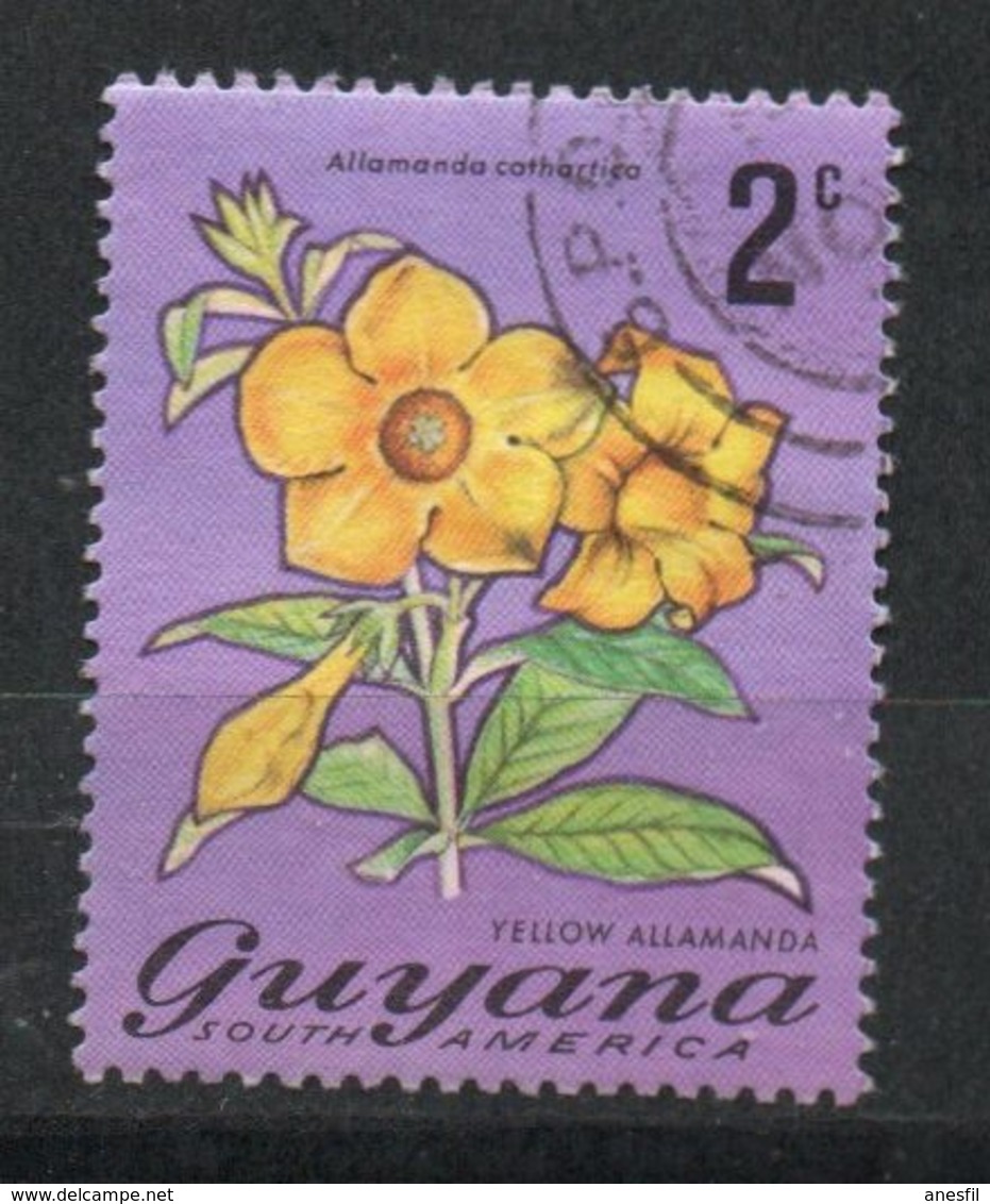 Ref: 1276. Guyana. Flora. Yellow Allmanda - Guyana (1966-...)