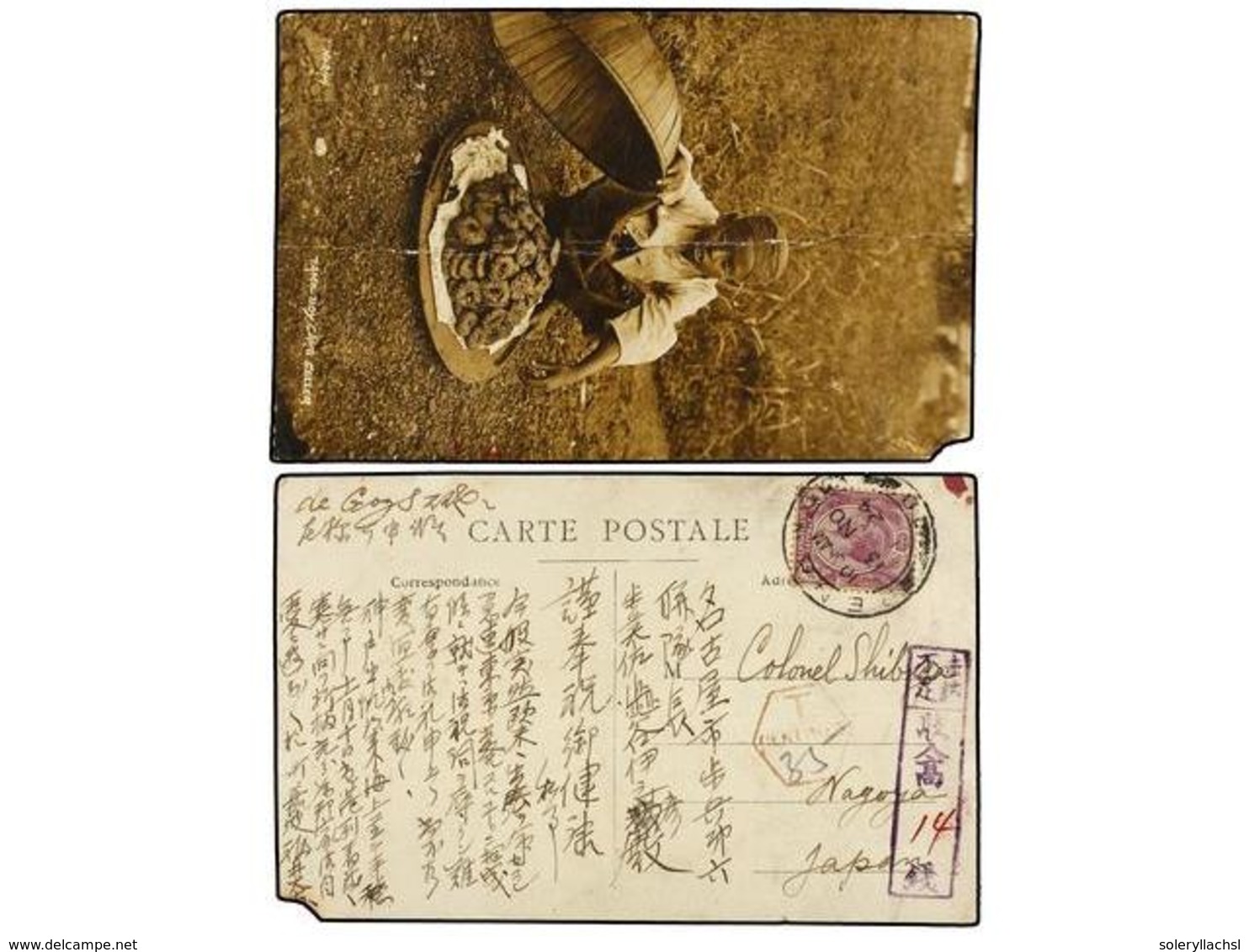 MALAYA. 1924. PENANG To NAGOYA (Japan). Postcard (real Photo, Tamil Bo Y Cake Seller) Franked With  4 Cts.  Lila Stamp T - Andere & Zonder Classificatie