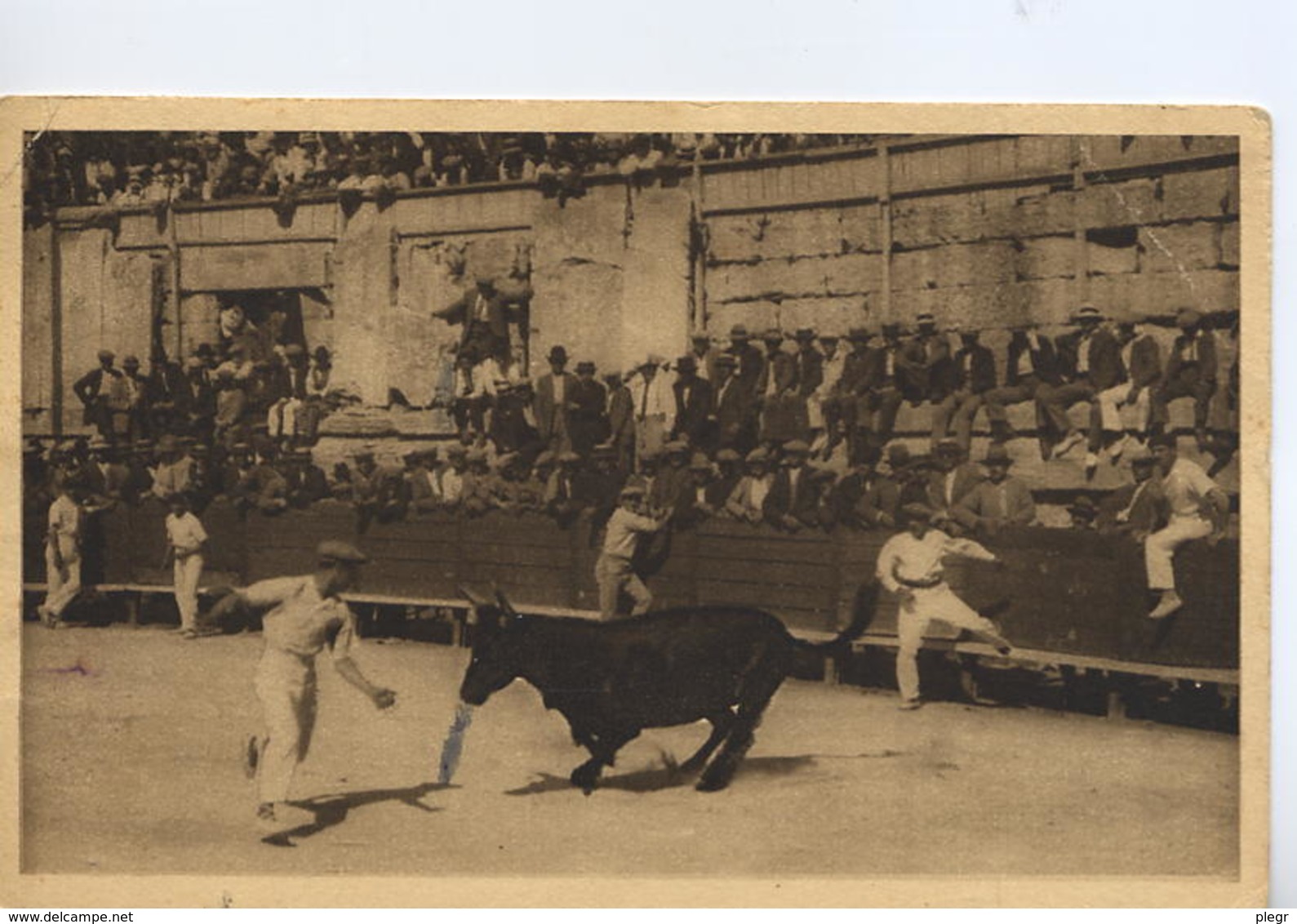 ARLES - #16117 - JEUX PROVENCAUX - COURSE DE TAUREAUX - RAZET POUR LA COCARDE DE LA TÊTE - Arles