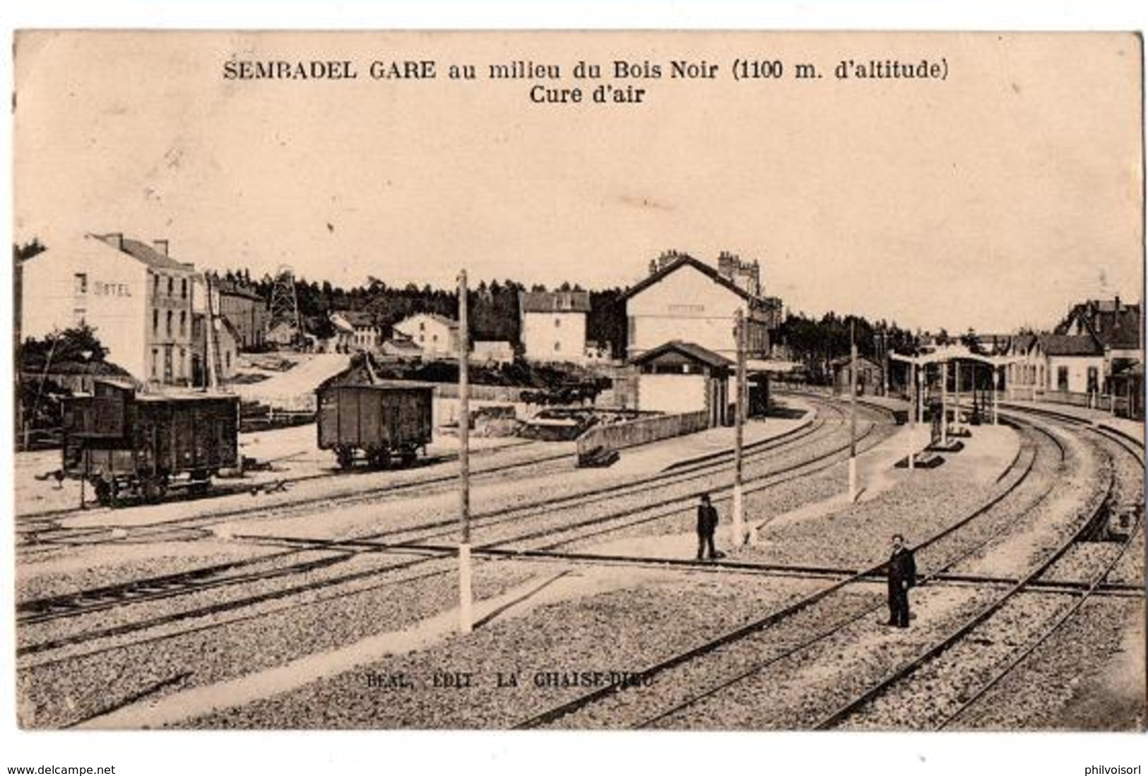 SEMBADEL GARE TRAINS AU MILIEU DU BOIS NOIR ANIMEE - Autres & Non Classés