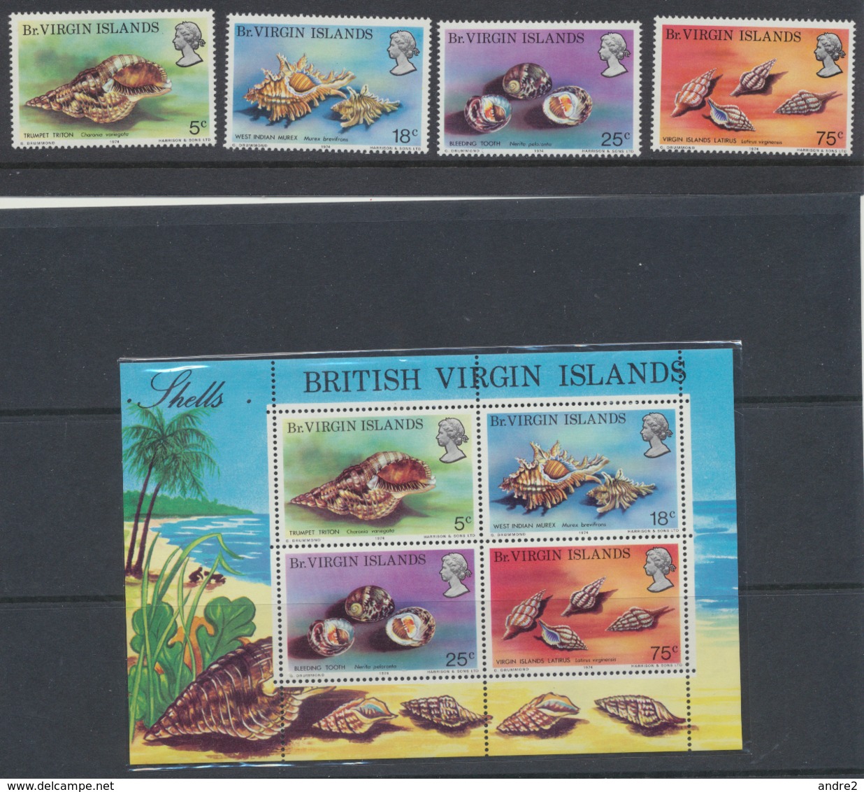 Vierges - British Virgin Islands 1974 Coquillages  + BF *** MNH - Autres & Non Classés