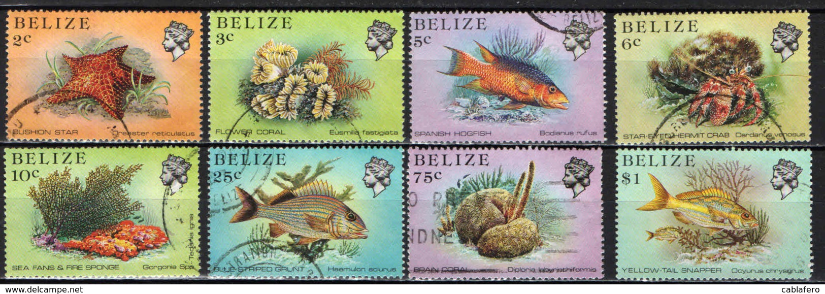 BELIZE - 1984 - Marine Life - USATI - Belize (1973-...)