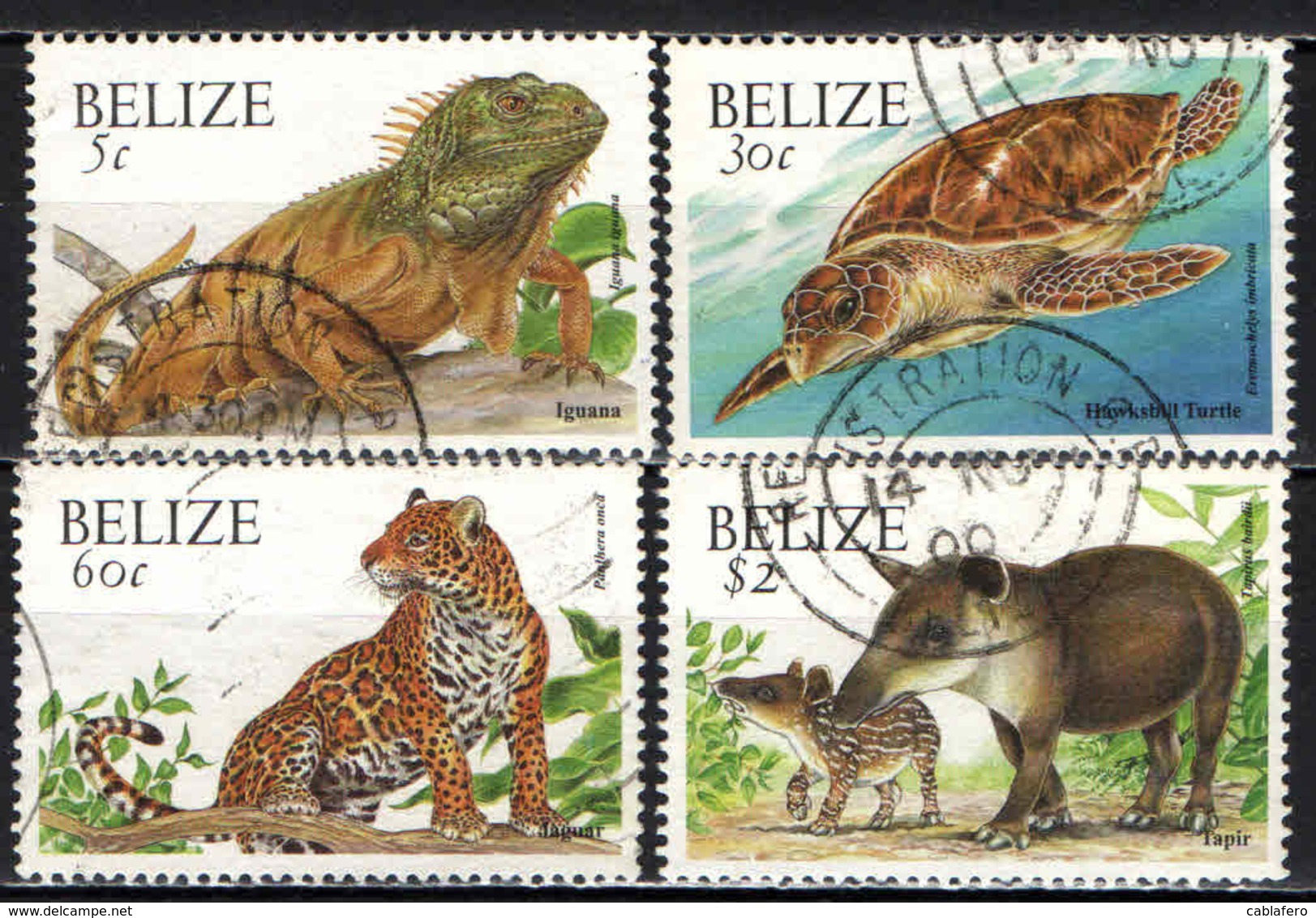 BELIZE - 2000 - Fauna - USATI - Belize (1973-...)