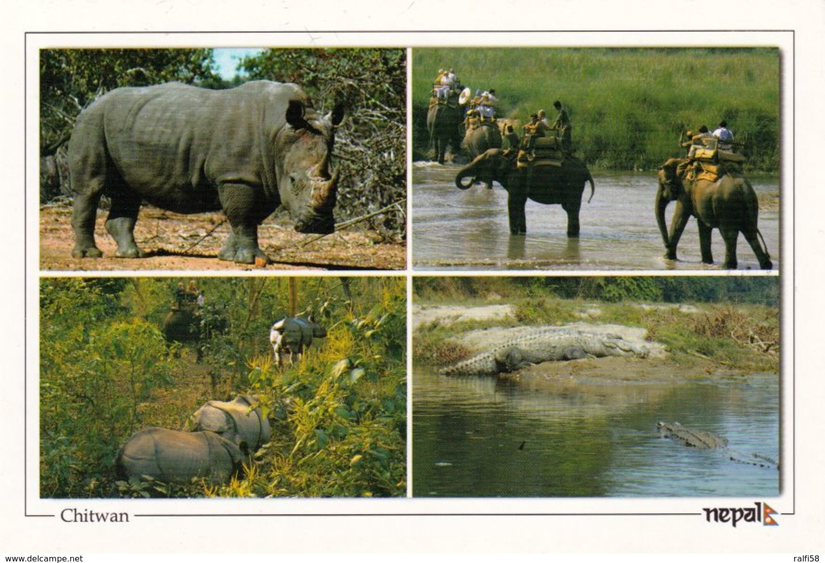 1 AK Nepal * Chitwan-Nationalpark - Seit 1984 UNESCO Weltnaturerbe - 1973 Gegründet - Der Erste Nationalpark Des Landes - Népal