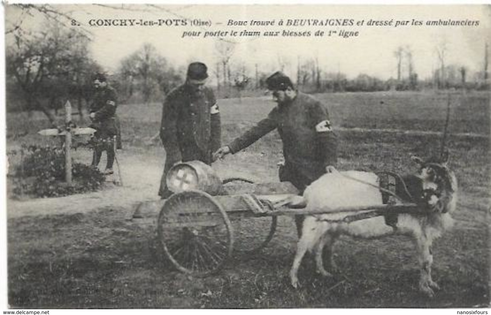 D60. CONCHY LES POTS.  ATTELAGE DE BOUC DRESSE PAR LES AMBULANCIERS - Other & Unclassified