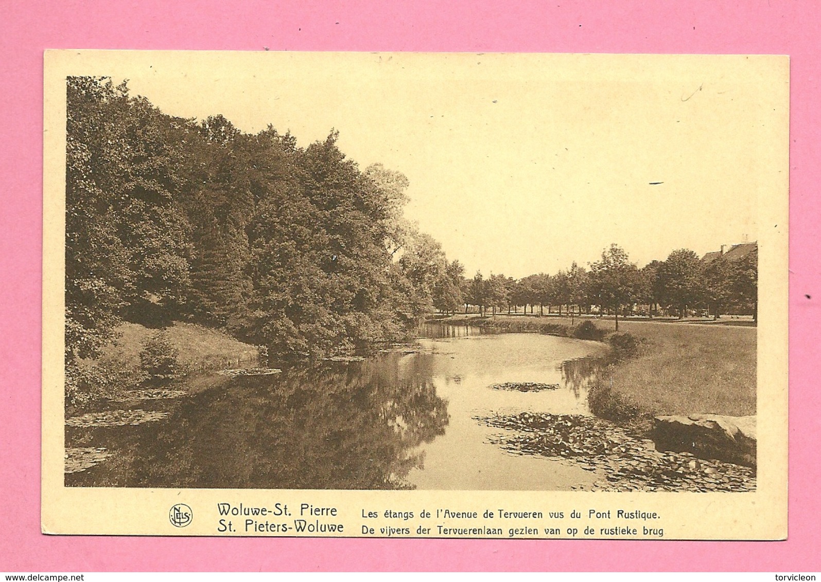 C.P. Woluwe-Saint-Pierre = Les  étangs De L' Avenue De  Tervuren Vue  Du  Pont Rustique - St-Lambrechts-Woluwe - Woluwe-St-Lambert