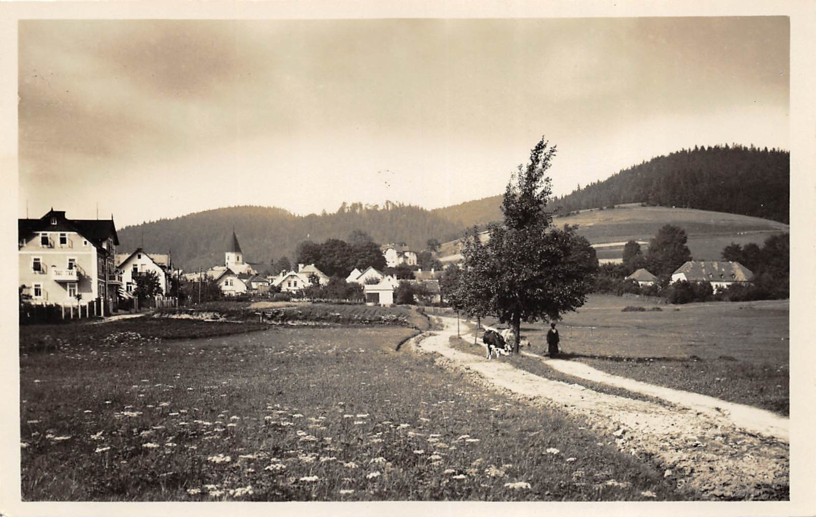 Bad Konigswart - Photo-Carte Hübner - Tchéquie