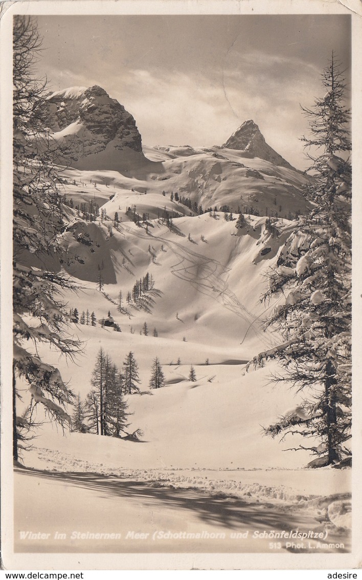 Winter Im Steinernen Meer (Schottmalhorn … ), Gel.1939 - Sonstige & Ohne Zuordnung