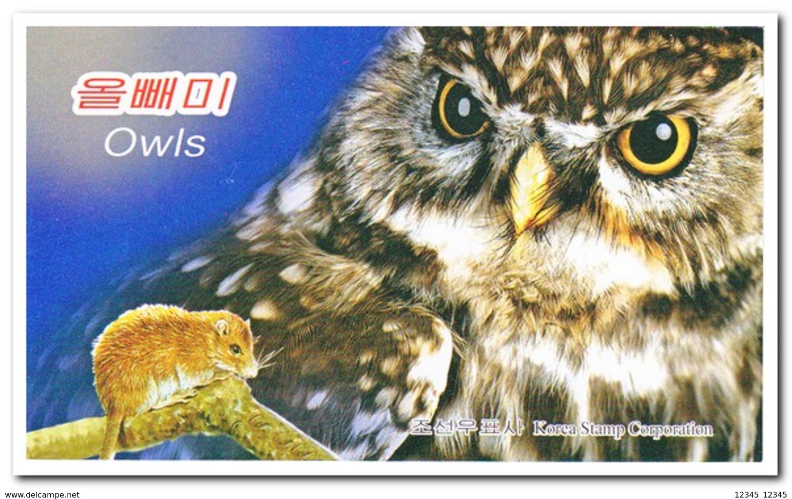 Zuid Korea 2013, Postfris MNH, Birds, Owls ( Booklet ) - Korea (Zuid)