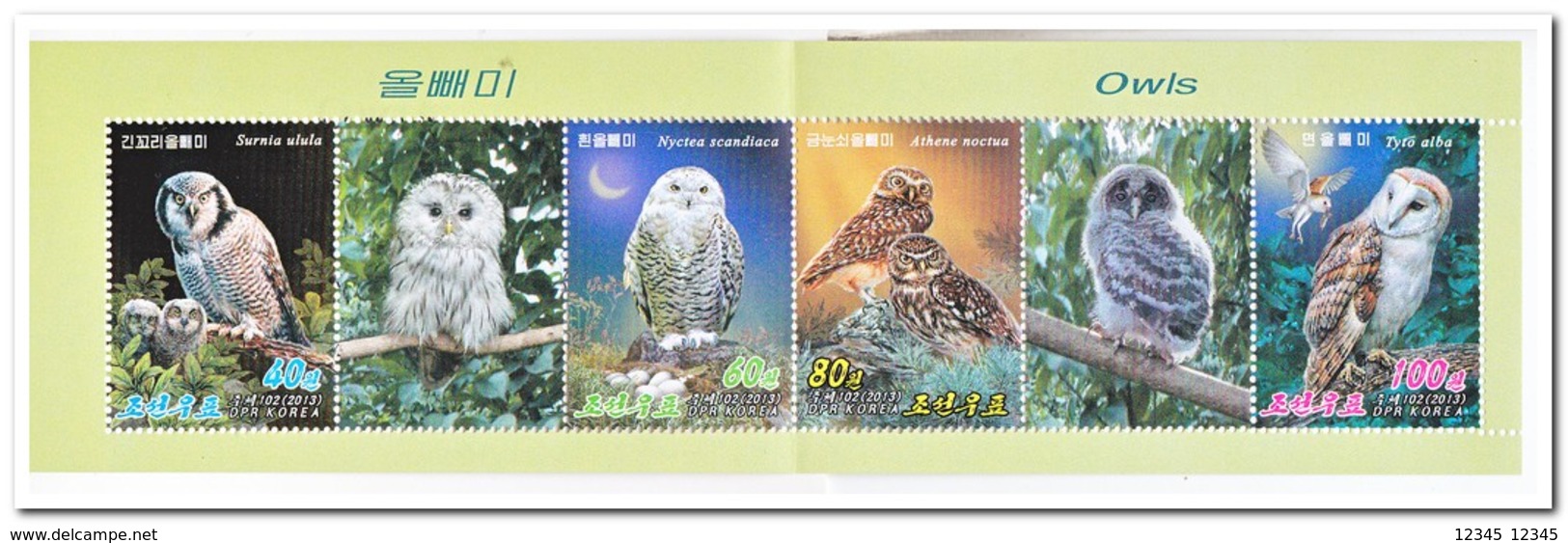 Zuid Korea 2013, Postfris MNH, Birds, Owls ( Booklet ) - Korea (Zuid)