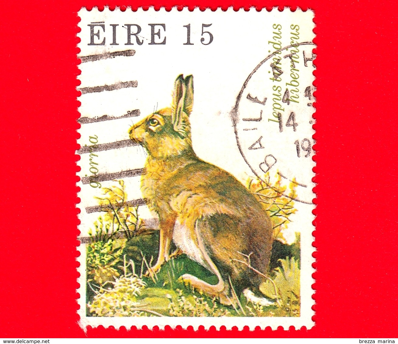 IRLANDA - Usato - 1980 - Fauna Selvatica - Lepre Di Montagna (Lepus Timidus Hibernicus) - 15 - Usati