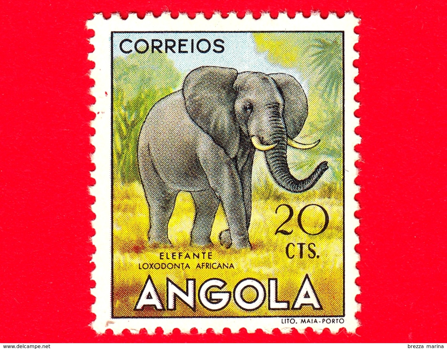 ANGOLA - Usato - 1953 - Fauna Africana - Animali - Elefante (Loxodonta Africana) - 20 - Angola