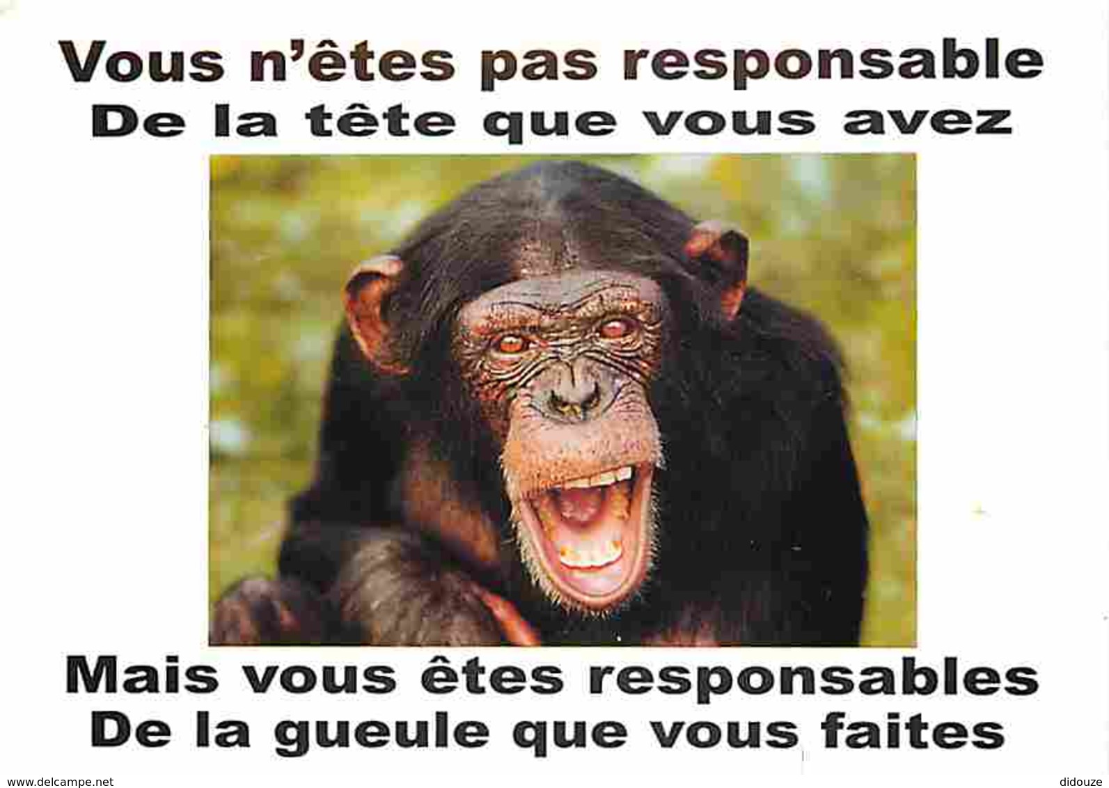 Animaux - Singes - Voir Scans Recto-Verso - Singes