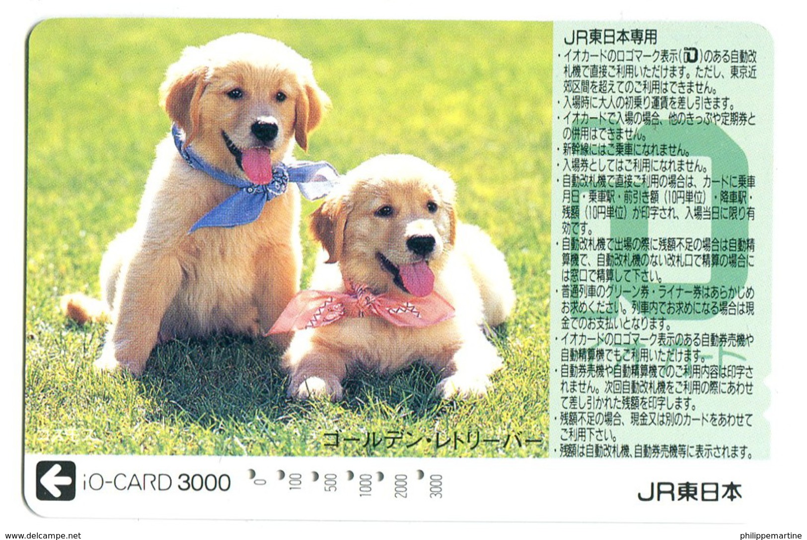 Titre De Transport Io-Card : Chien - World