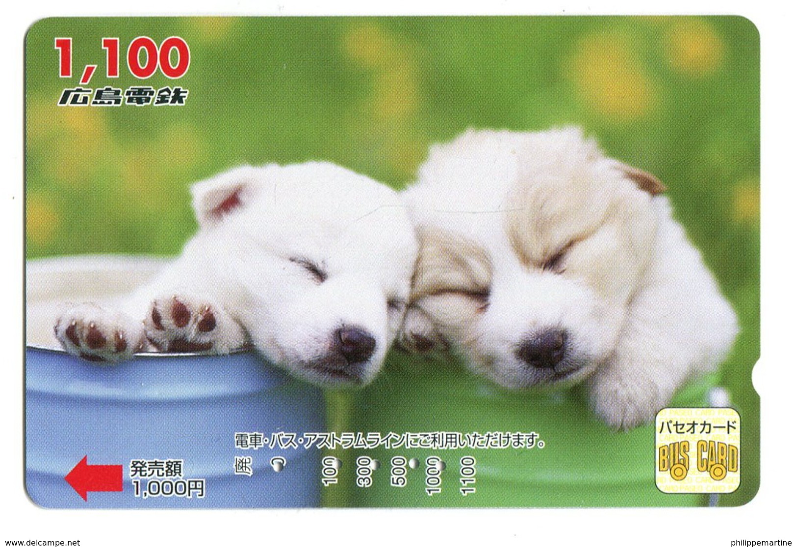 Titre De Transport Bus Card : Chien - Monde