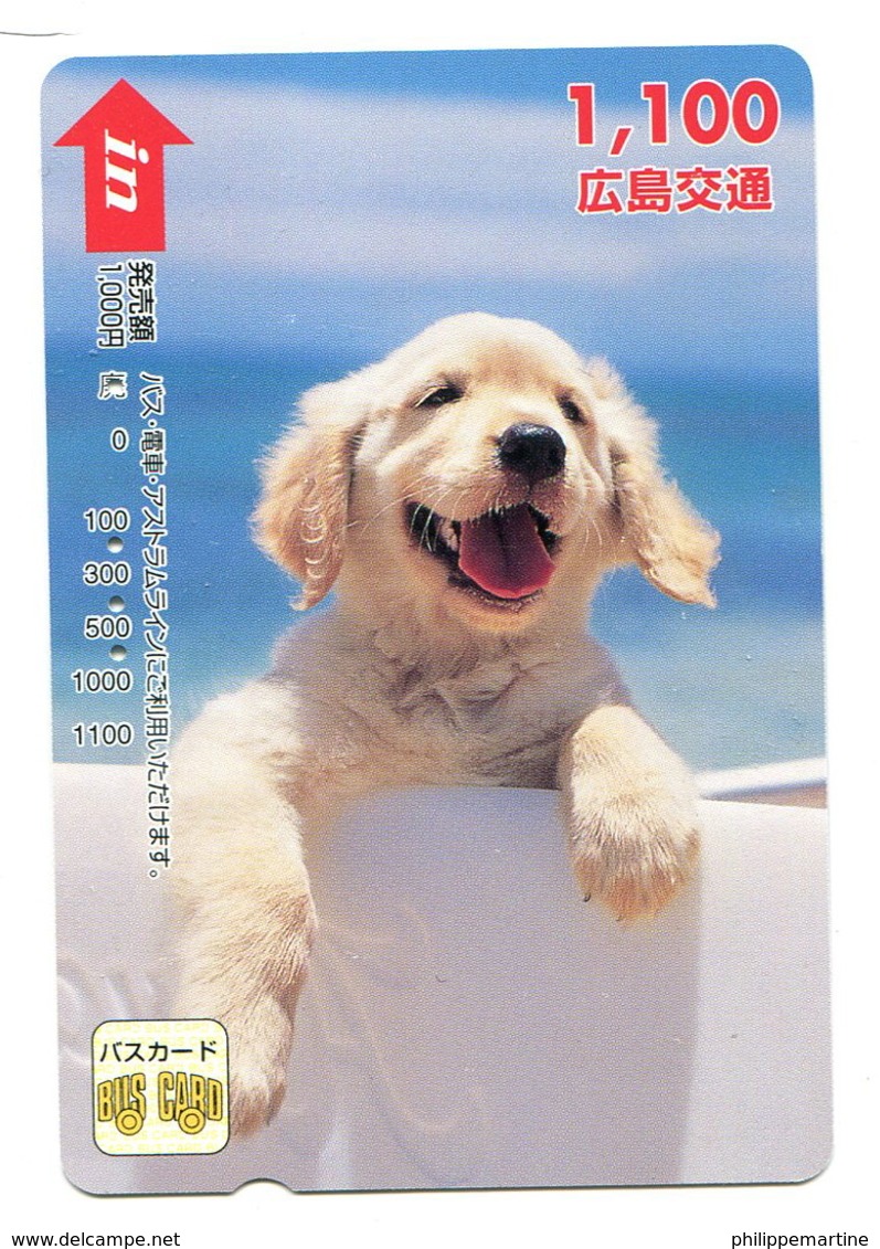 Titre De Transport Bus Card : Chien - Monde