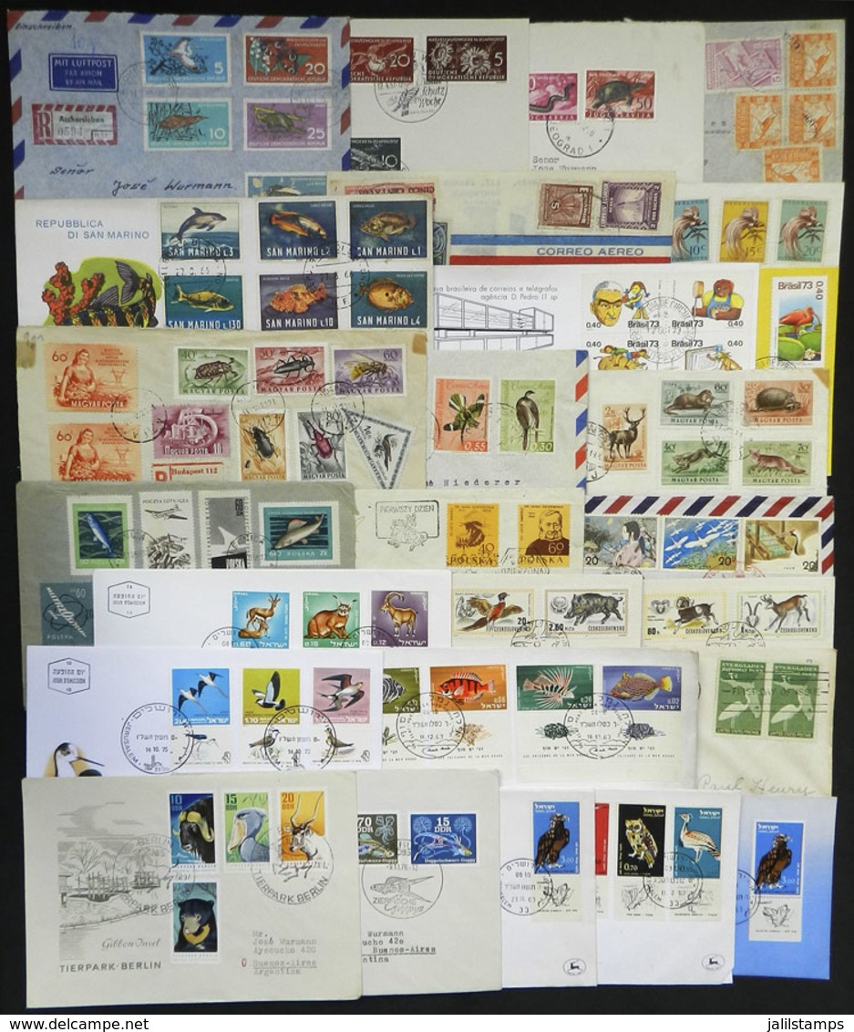 TOPIC FAUNA: About 60 Covers, Cards, Cover Fronts, Etc. Of Varied Countries And Periods Related To Topic FAUNA, With Nic - Autres & Non Classés