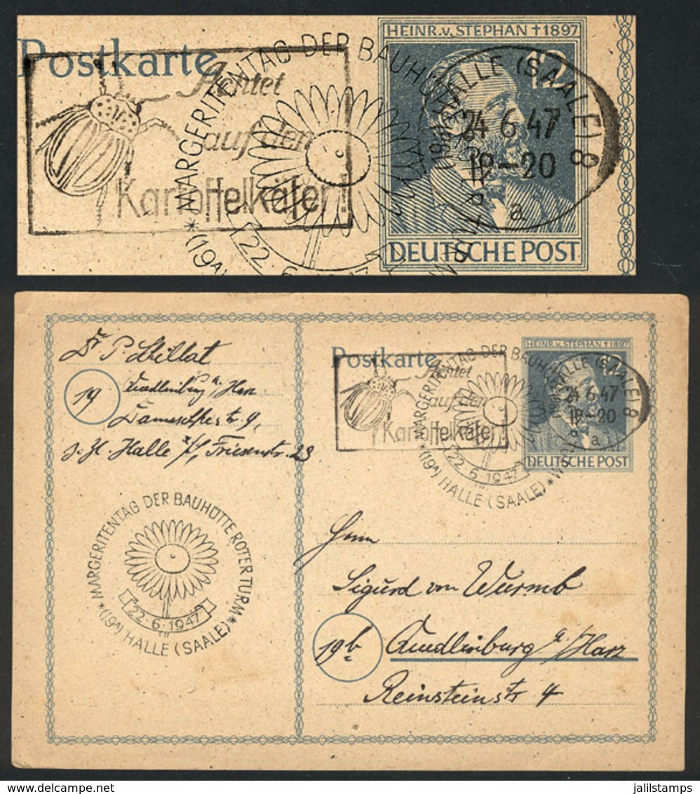 GERMANY: 12Pf. Postal Card Used On 22/JUN/1947, With Nice Postmark Of Halle Topic INSECTS (beetle), VF Quality! - Other & Unclassified