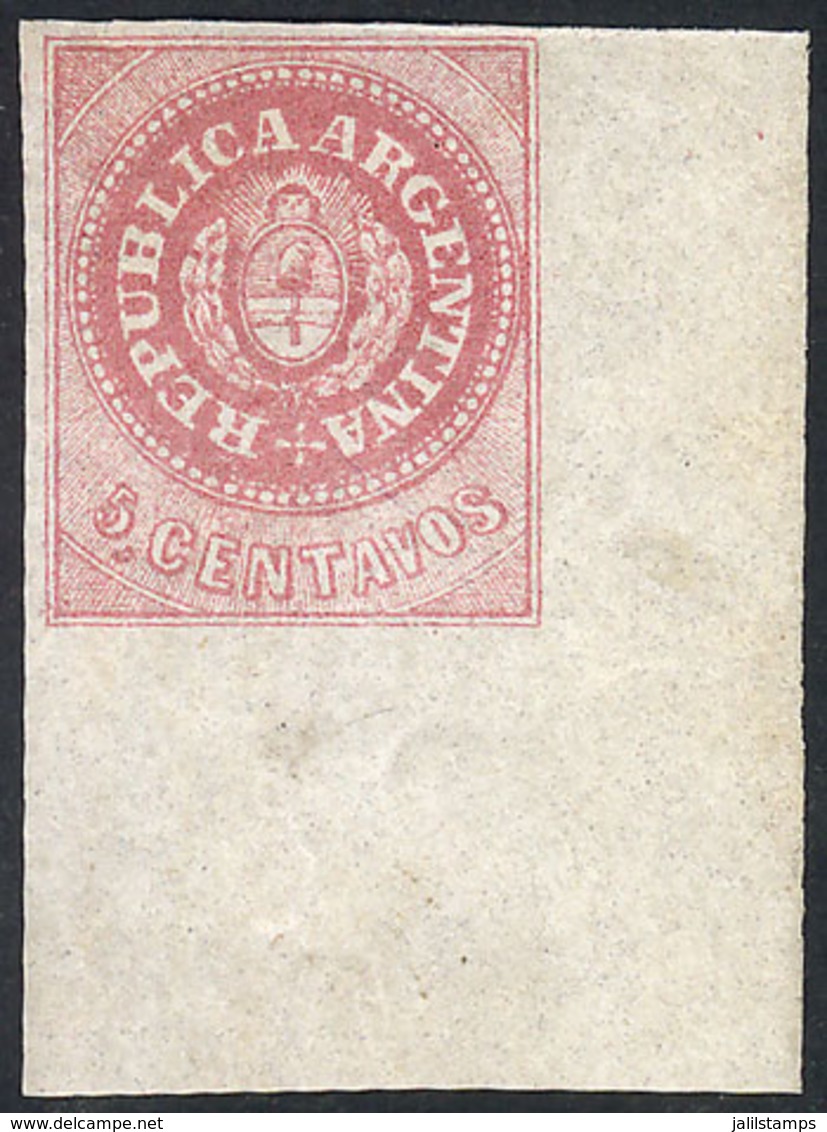 ARGENTINA: GJ.10, 5c. Without Accent, Fantastic SHEET CORNER Example With FULL ORIGINAL GUM, Very Fresh, Perfect And Spe - Unused Stamps