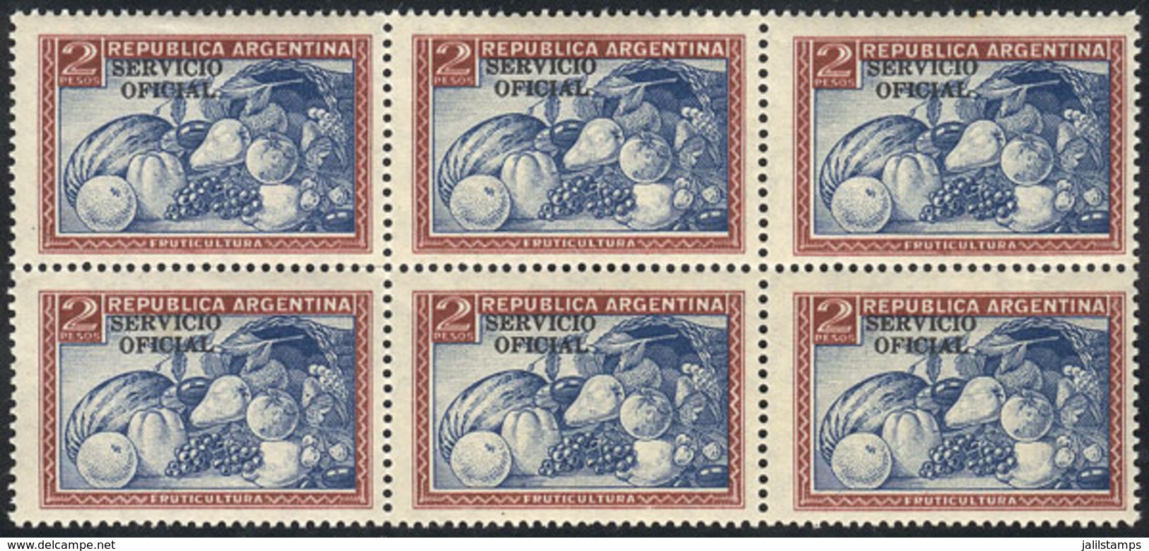 ARGENTINA: GJ.650a, 2P. Fruit, With VARIETY "Double Impression Of The Frame", MNH Block Of 6, VF Quality!" - Dienstzegels
