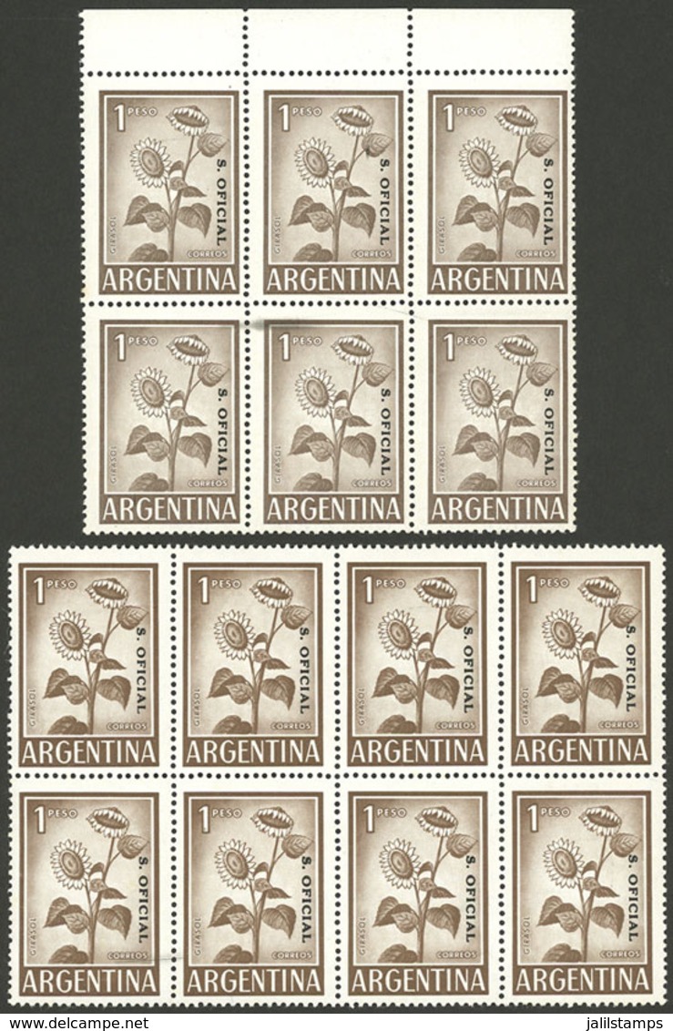 ARGENTINA: GJ.740, Blocks Of 6 And 8, 2 PRINTINGS In VERY DIFFERENT COLORS, One In Normal Color (light Dun, Block Of 6)  - Officials