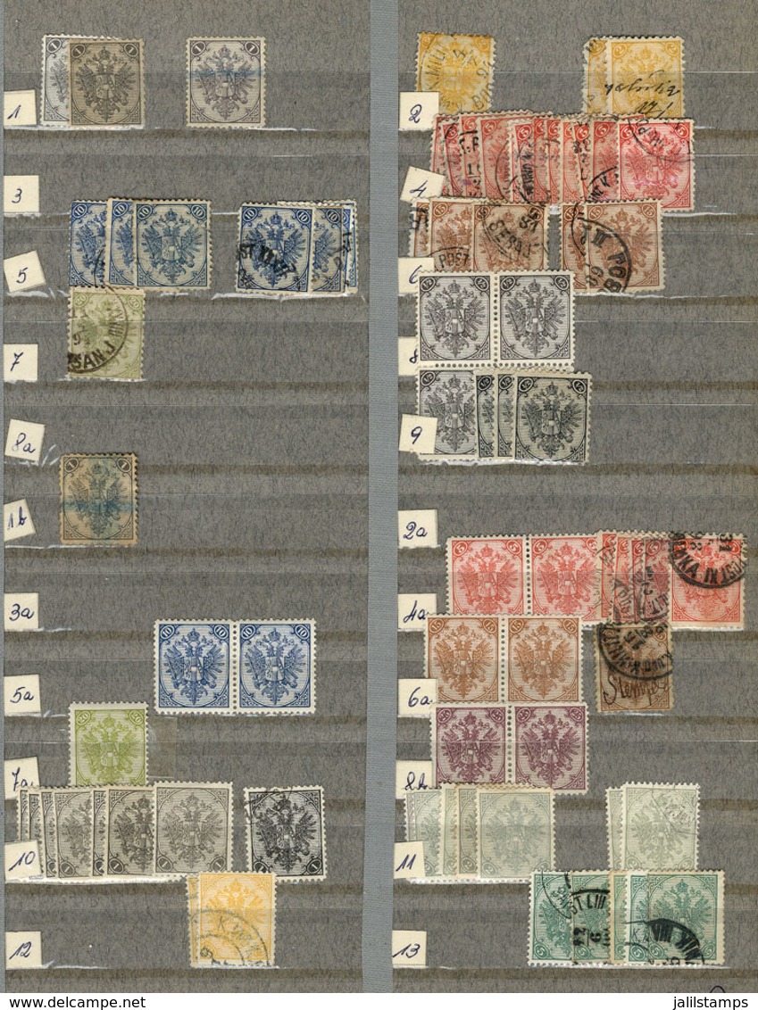 BOSNIA HERZEGOVINA: Old Stock Of Stamps On Stock Pages, With Large Number Of Scarce Stamps And Sets Of High Market Value - Other & Unclassified