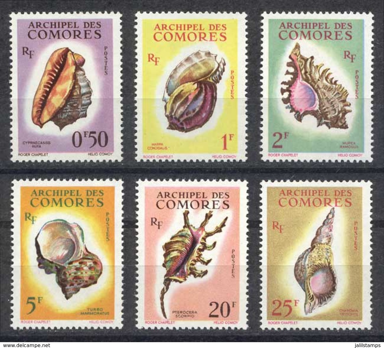 COMOROS: Yvert 19/24, Sea Shells, Complete Set Of 6 Values, Excellent Quality! - Isole Comore (1975-...)