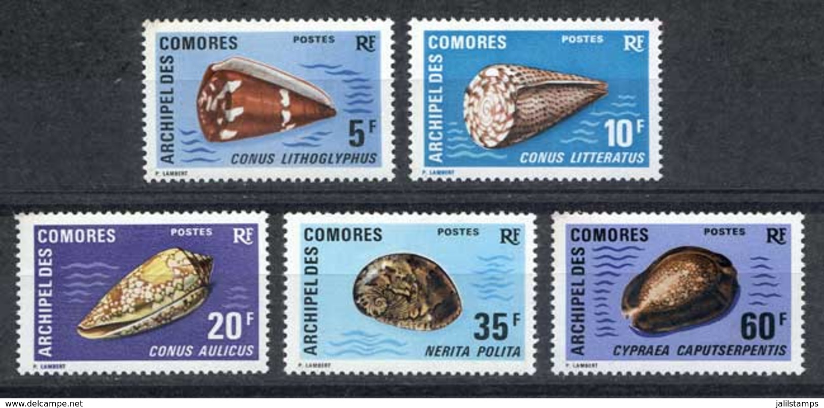 COMOROS: Yvert 72/76, Sea Shells, Complete Set Of 5 Unmounted Values, Excellent Quality! - Comoros