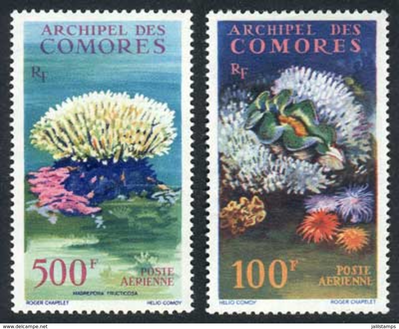 COMOROS: Yvert A.5/6, Marine Fauna And Flora, Set Of 2 Unmounted Values, Excellent Quality! - Comoros