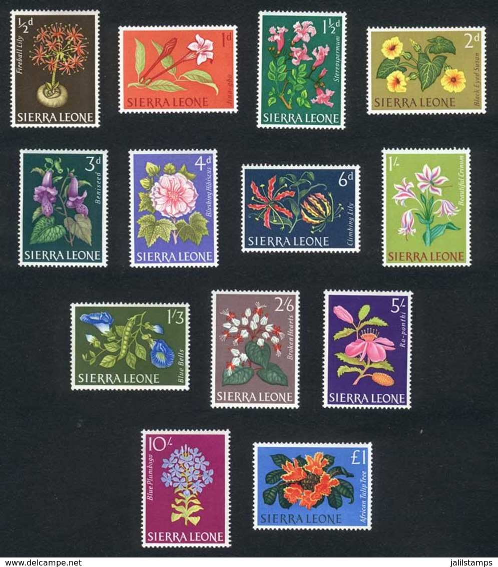 SIERRA LEONE: Yvert 213/25, Flowers, Complete Set Of 13 Unmounted Values, Excellent Quality! - Sierra Leone (1961-...)