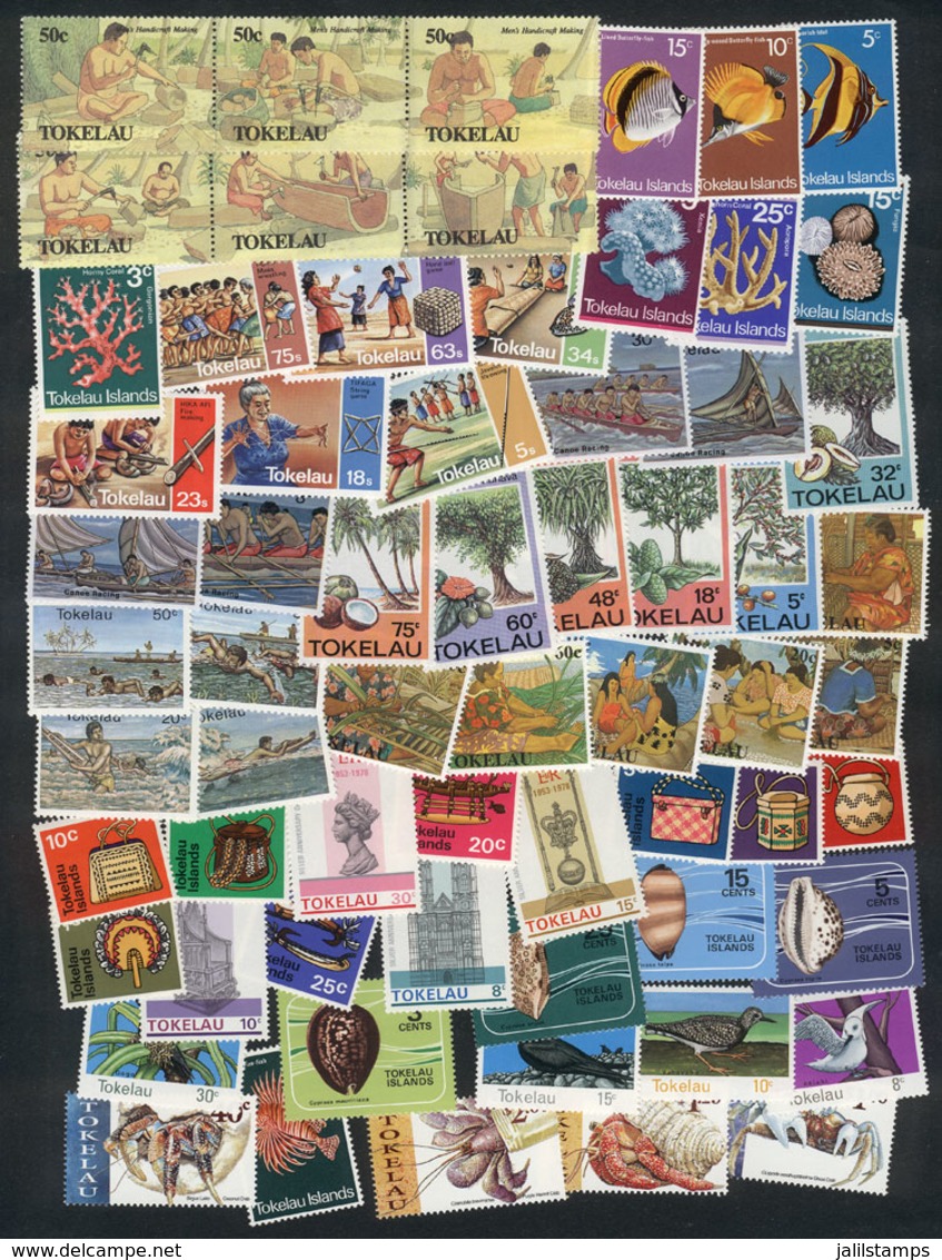 TOKELAU: Lot Of VERY THEMATIC Stamps, Sets And Souvenir Sheets, Mint Never Hinged And Of Excellent Quality, Catalog Valu - Tokelau