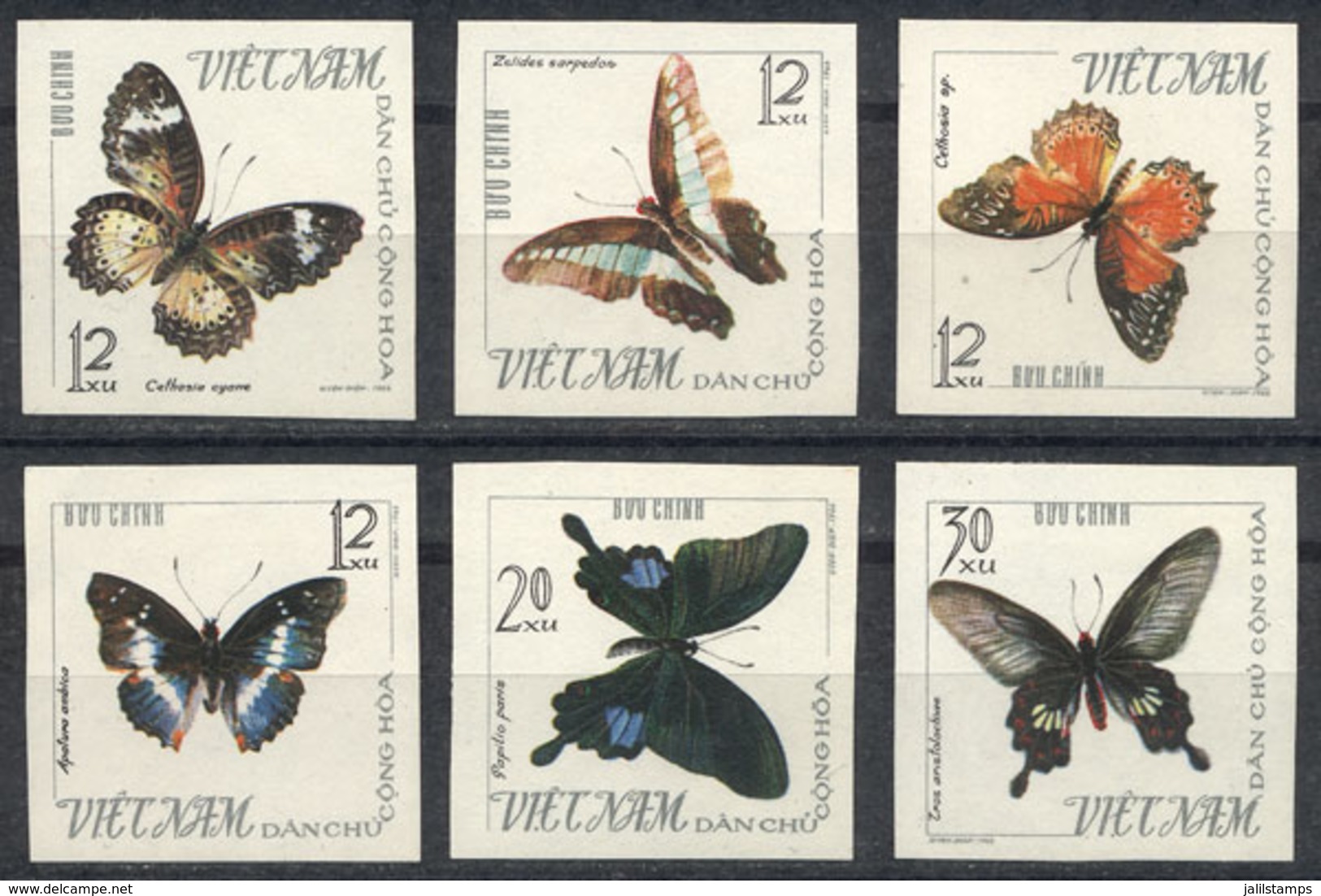 NORTH VIETNAM: Yvert 472/477 (Sc.398/403), Butterflies, Complete Set Of 6 IMPERFORATE Unmounted Values, Excellent Qualit - Vietnam