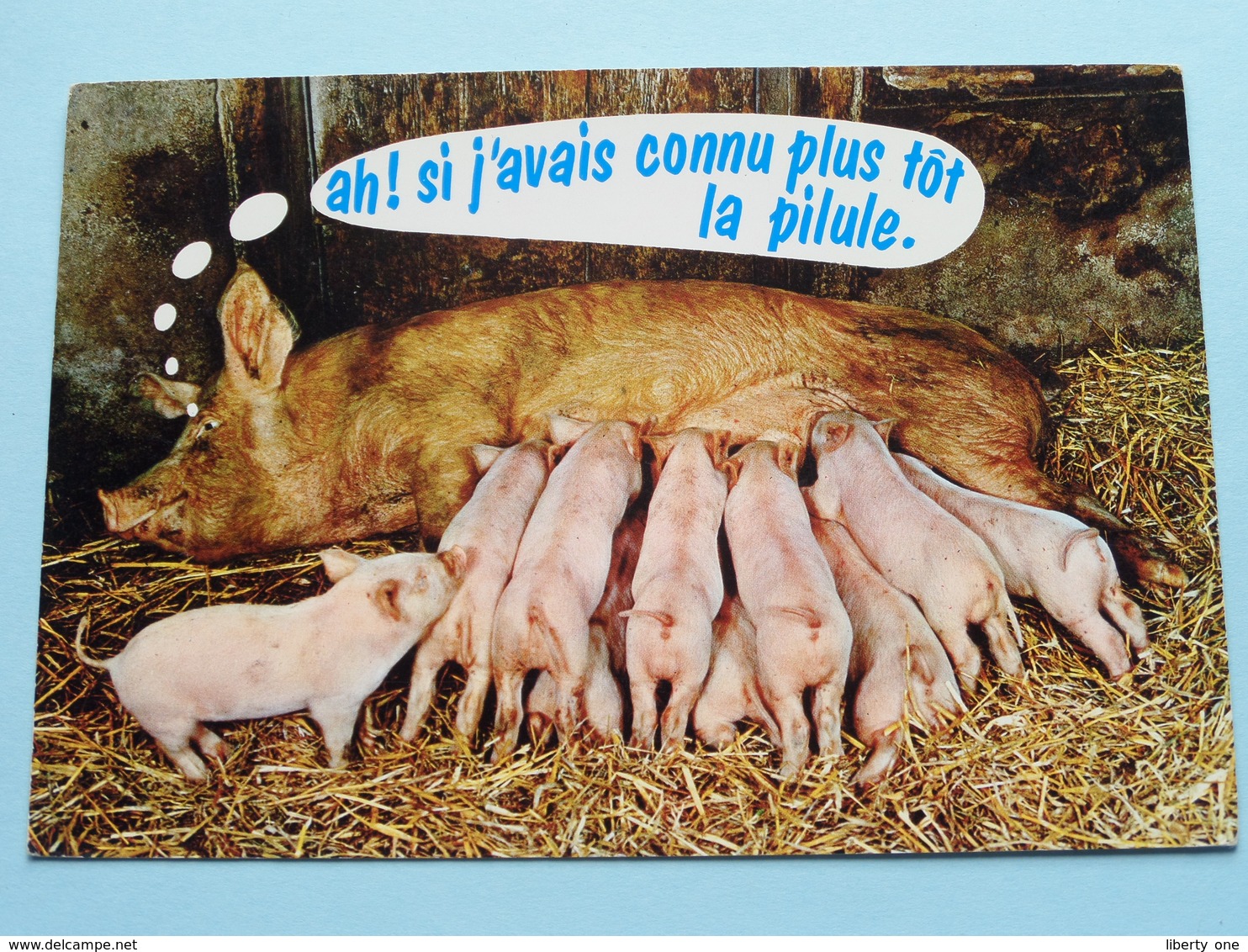 Ah ! Si J'avais Connu Plus Tôt La Pilule. ( Animaus Humoristiques AN 75 - CIM ) Anno 19?? ( Zie / Voir Photo ) ! - Humour