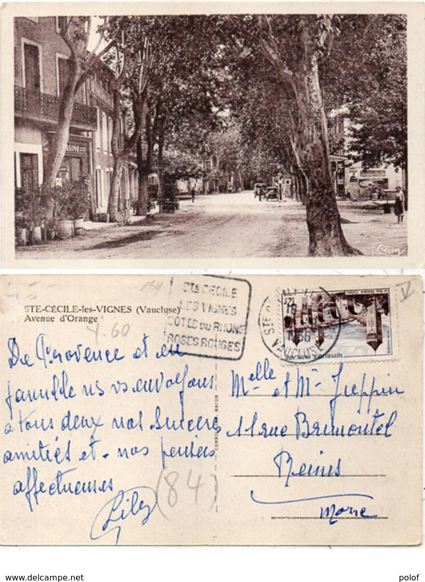 SAINTE CECILE LES VIGNES - Avenue D' Orange - Cachet Daguin    (112417) - Autres & Non Classés