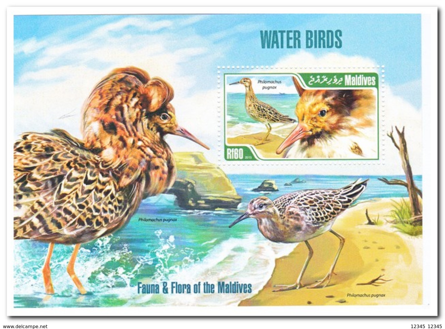 Maldiven 2013, Postfris MNH, Birds - Maldiven (1965-...)