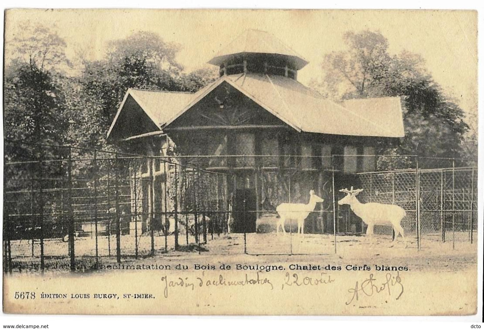 Jardin D'Acclimatation Du Bois De Boulogne; Chalet Des Cerfs Blancs Ed. Burgy 5678, Envoi 1903, Dos Simple - Parcs, Jardins