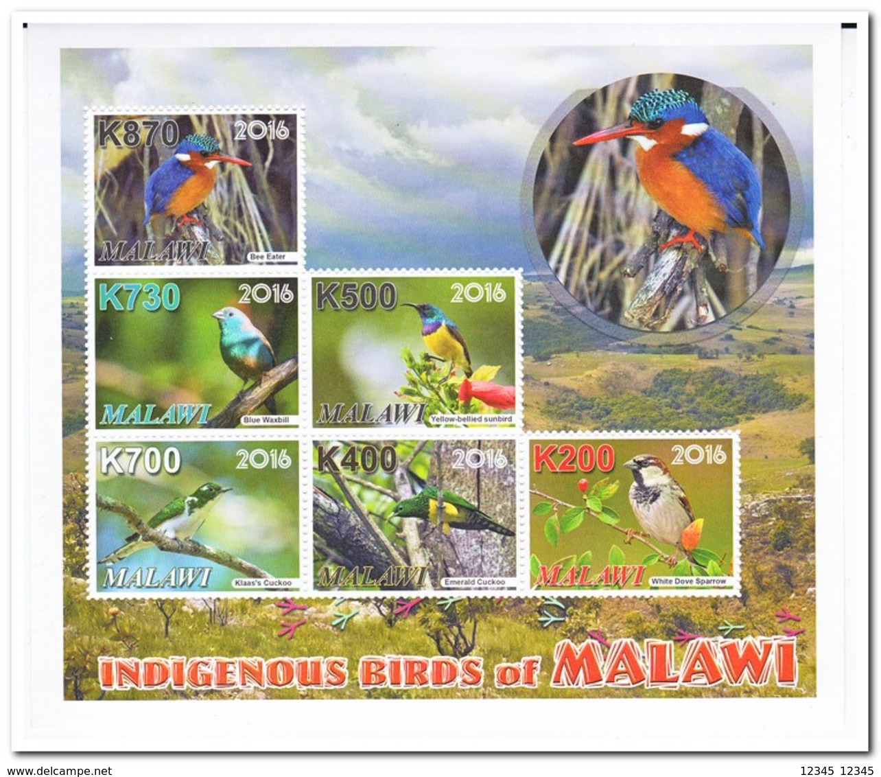 Malawi 2016, Postfris MNH, Birds - Malawi (1964-...)