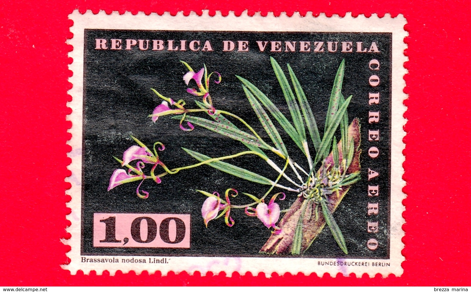 VENEZUELA - Usato - 1962 - Fiori - Orchidee - Brassavola Nodosoa Lindl. - 1.00 - P. Aerea - Venezuela