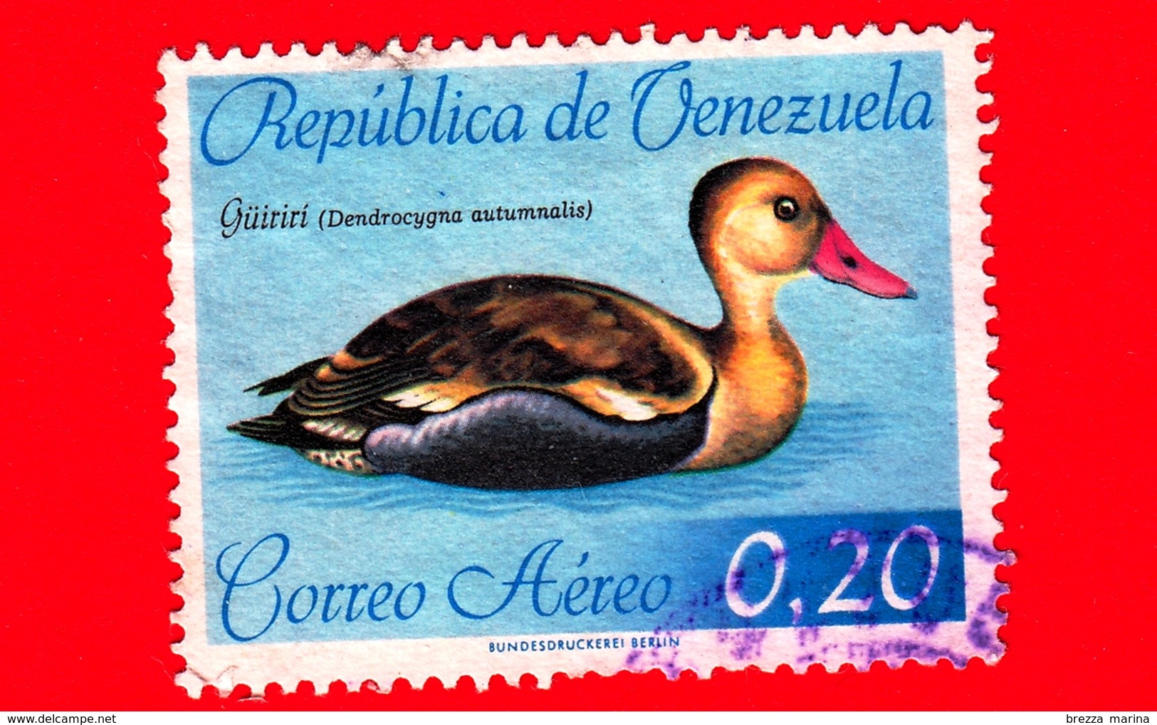 VENEZUELA - Usato - 1962 - Uccelli - Anatre - Guiriri ( Dendrocygna Autumnalis ) - 0.20 - Venezuela