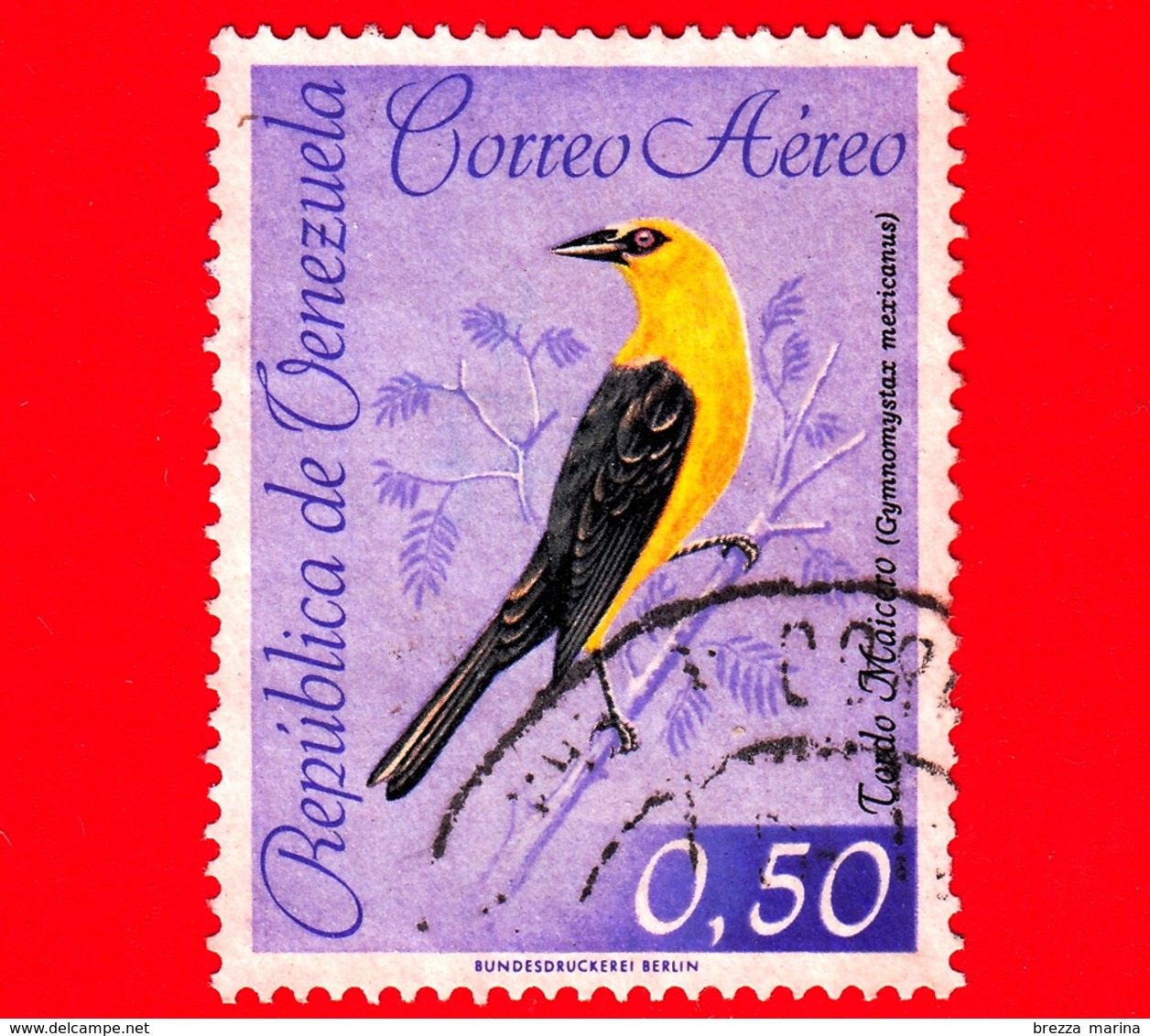 VENEZUELA - Usato - 1962 - Fauna - Uccelli - Birds - Tordo Maicero - 0.50 P. Aerea - Venezuela