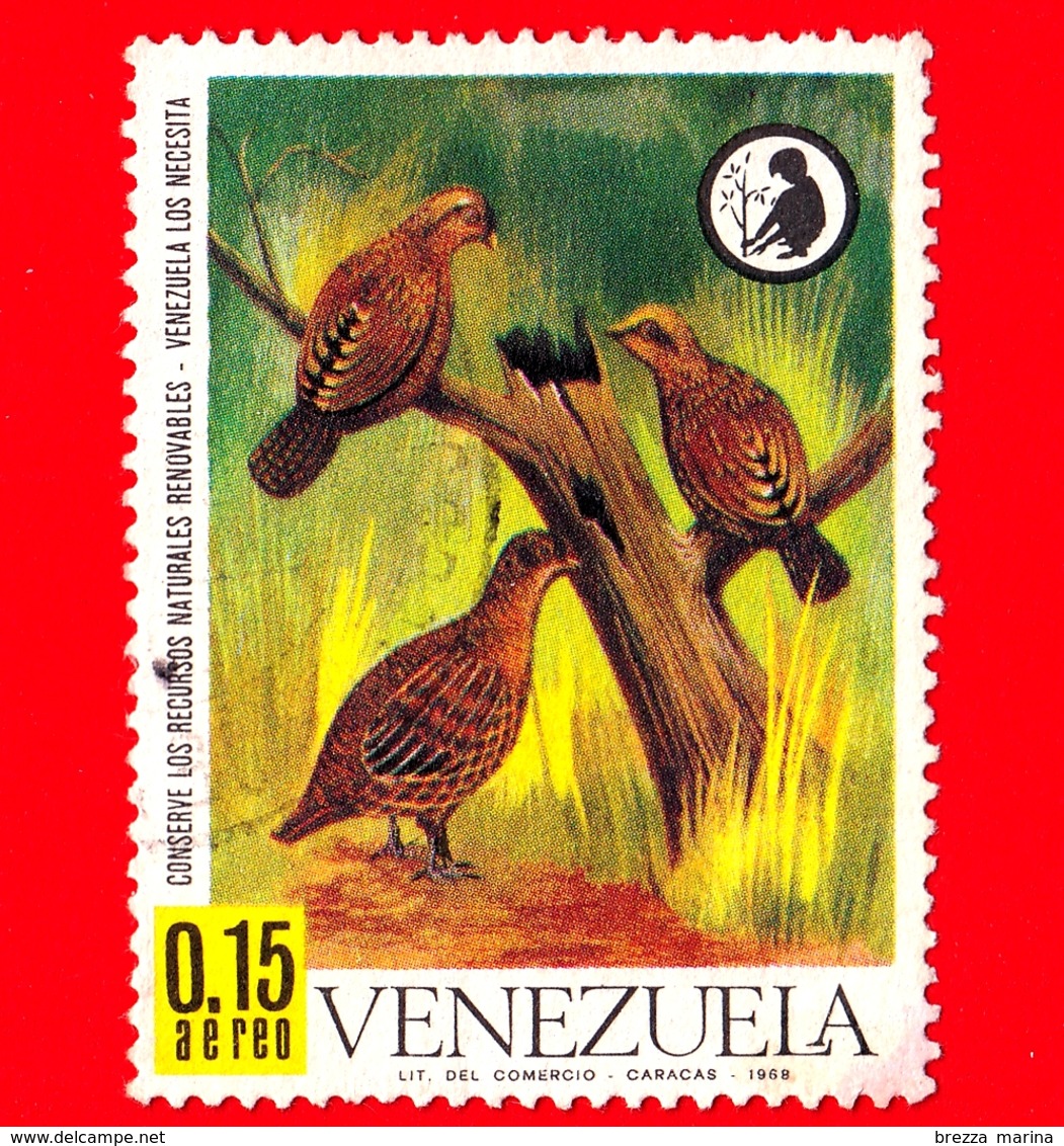 VENEZUELA - Usato - 1968 - Conservazione Delle Risorse Naturali - Uccelli - Odontophorus Gujanensis - 0.15  P. Aerea - Venezuela