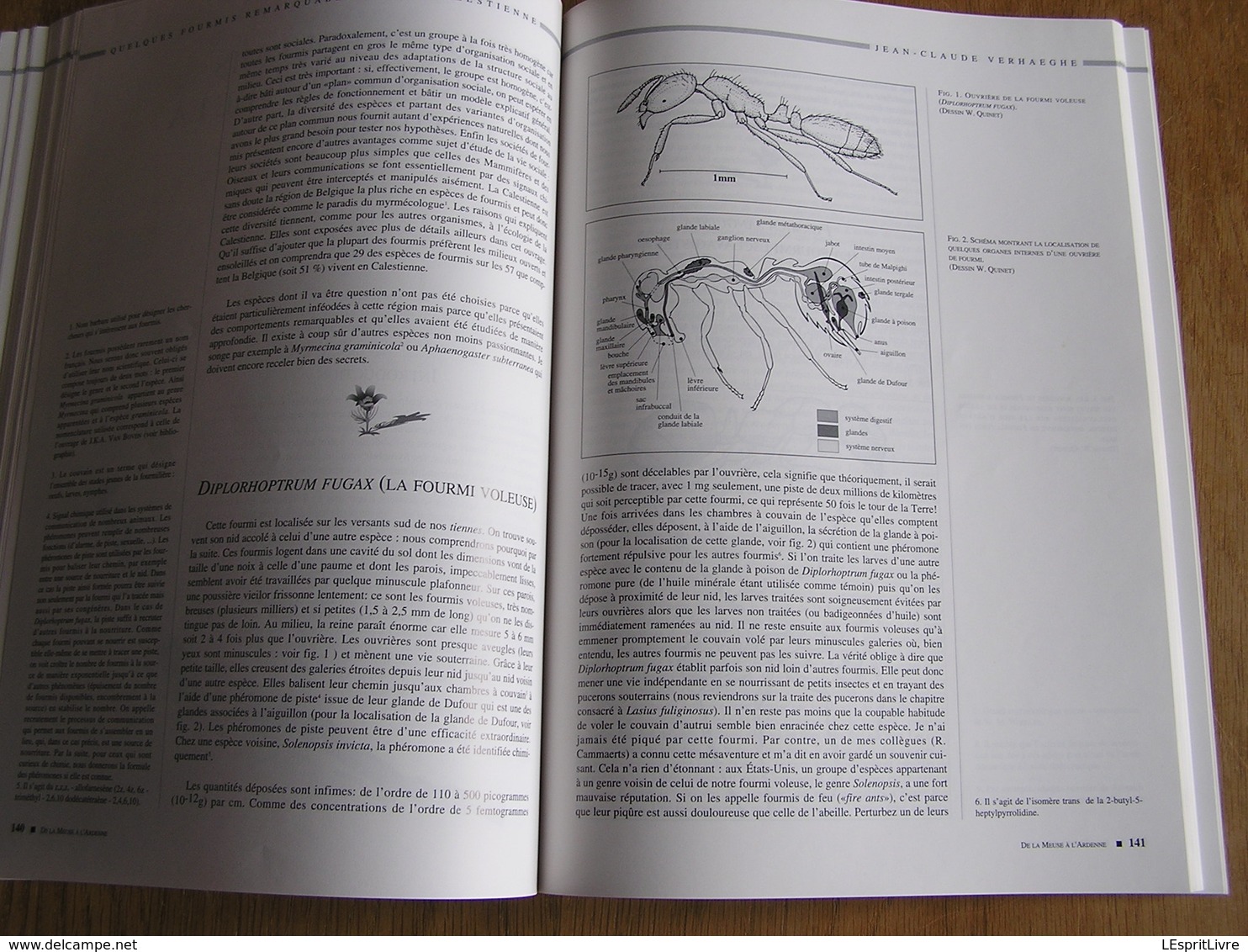 DE LA MEUSE A L ARDENNE N° 16 Régionalisme La Calestienne Wellin Han Grotte Couvin Wancennes Givet Archéologie Minéraux