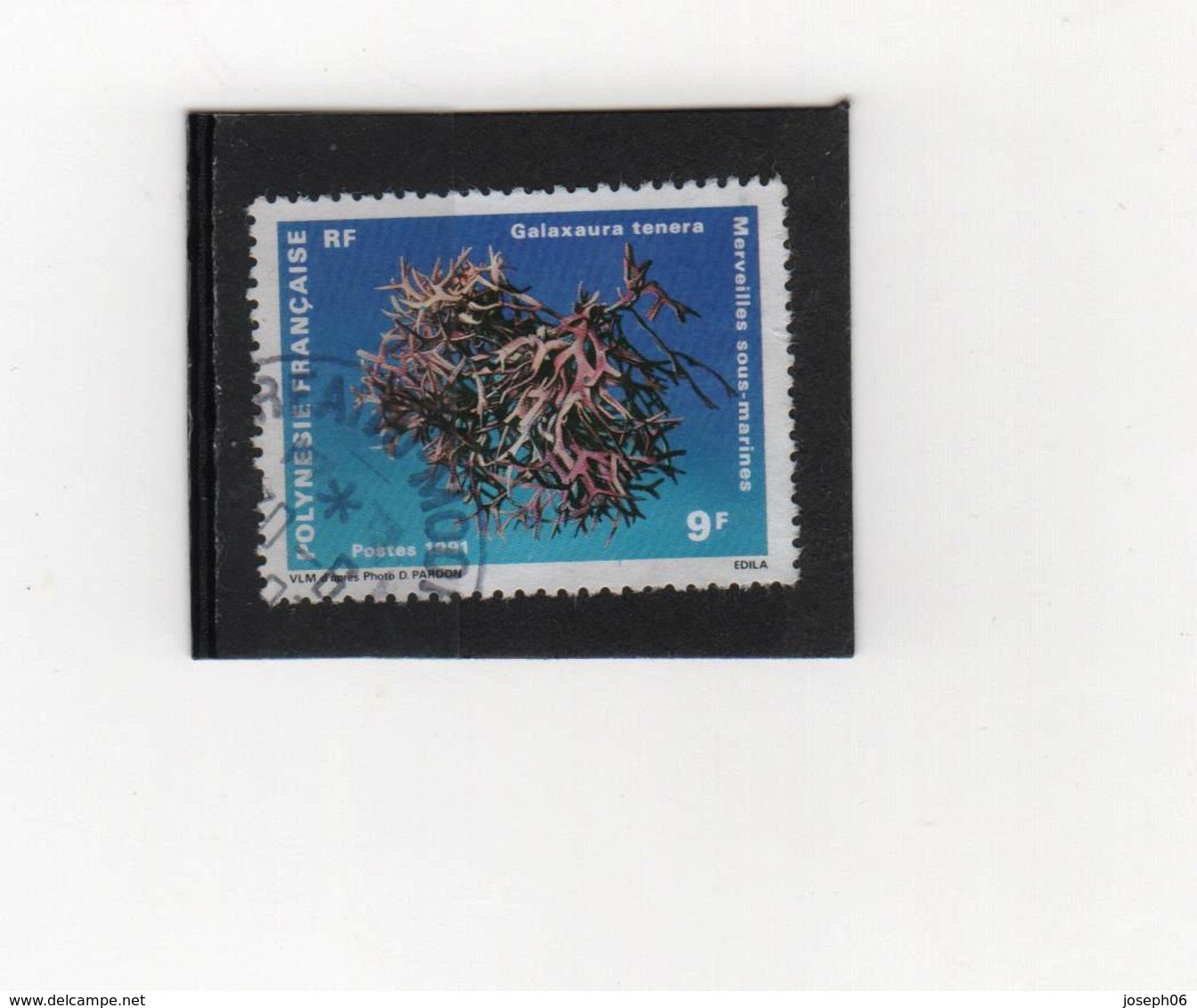 POLYNESIE  FRANCAISE   1991  Y.T. N° 377  Oblitéré - Used Stamps