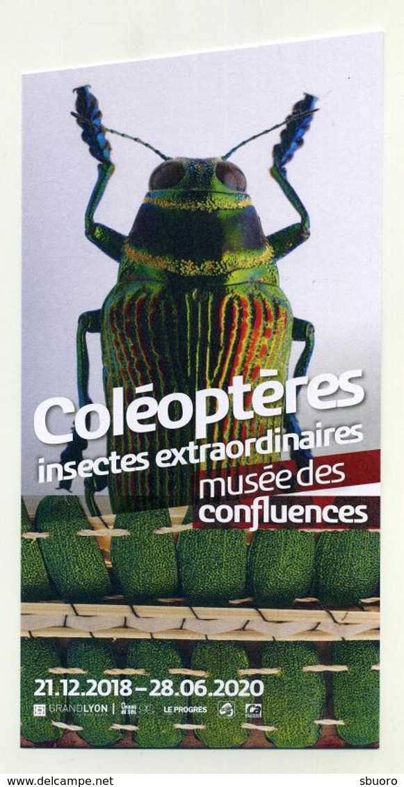 Lot De 5 Flyers Expo Musée Des Confluences Lyon 2019 : Hugo Pratt Corto Maltese, Yokai Japon, Insectes... Voir 5 Images - Programs
