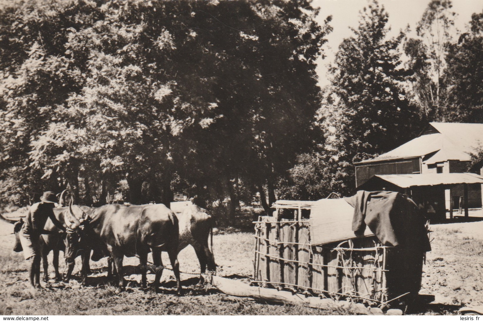 C.P. - PHOTO - L'AMBULANCE ZAMBEZIENNE - RETOUR DE MATERNITÉ - 14  C. BORNAND - Sambia