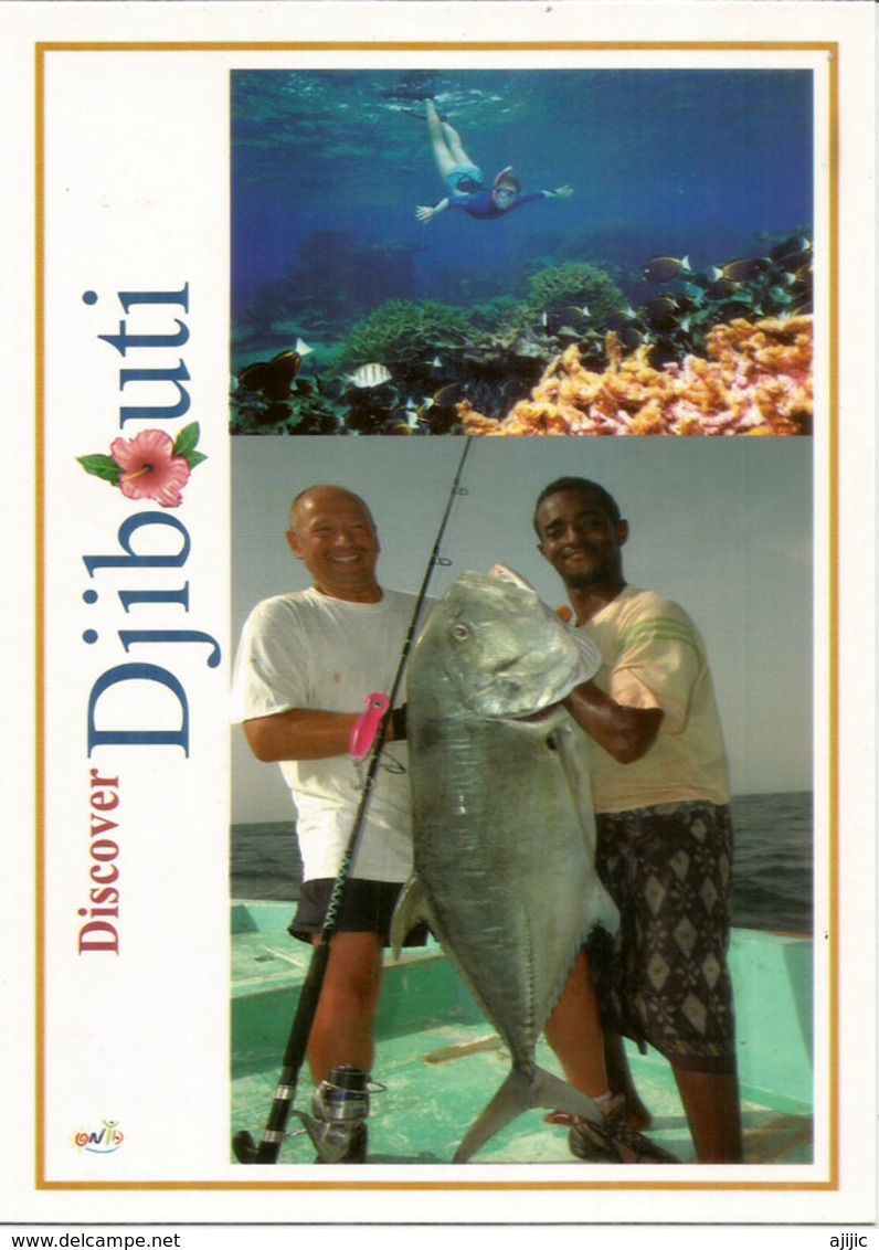 Les Beaux Visages De Djibouti, Belle Carte Postale Format 20 X 14 Cm , Neuve, Non Circulée - Afrique