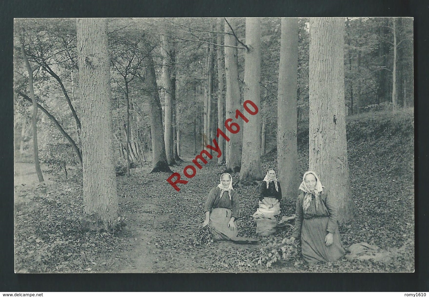 TERVUEREN (Bruxelles) Sous Bois, Paysannes Ramassant Feuilles Et Brindilles. Circulé En 1920. 2 Scans. - Tervuren