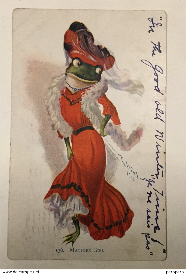 AK  FROG  FROGS  FROSCHE   LA GRENOUILLE  1907. - Sonstige & Ohne Zuordnung